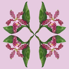 Load image into Gallery viewer, Tiger Orchid Linen Napkin - Set of 8