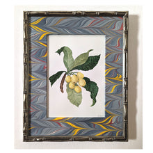 Load image into Gallery viewer, Longan - Marbled Paper Mount Original Painting