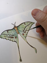 Load image into Gallery viewer, Commercial Work : RAFFLES HOTEL MOONCAKE BOXES 2024