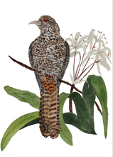 Load image into Gallery viewer, Commercial Work : PLUME, PAN PACIFIC SINGAPORE