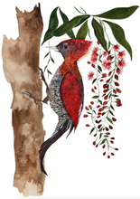 Load image into Gallery viewer, Commercial Work : PLUME, PAN PACIFIC SINGAPORE