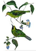 Load image into Gallery viewer, Commercial Work : PLUME, PAN PACIFIC SINGAPORE