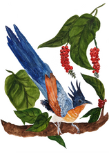 Load image into Gallery viewer, Commercial Work : PLUME, PAN PACIFIC SINGAPORE