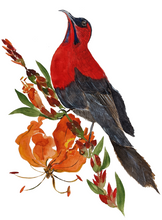 Load image into Gallery viewer, Commercial Work : PLUME, PAN PACIFIC SINGAPORE