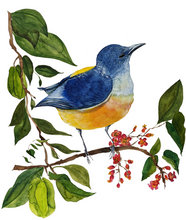 Load image into Gallery viewer, Commercial Work : PLUME, PAN PACIFIC SINGAPORE