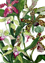 Load image into Gallery viewer, Tiger Orchid Tea Towel