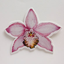Load image into Gallery viewer, Orchid Notecard Set