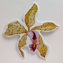Load image into Gallery viewer, Orchid Notecard Set