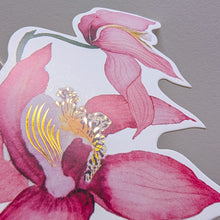 Load image into Gallery viewer, Orchid Notecard Set