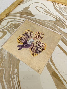 Original Mini - Golden Floral 7
