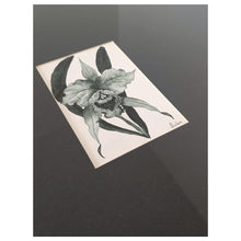 Load image into Gallery viewer, Original Artwork - Olive Orchid Mini 1
