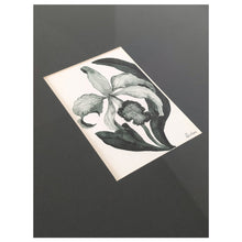 Load image into Gallery viewer, Original Artwork - Olive Orchid Mini 3
