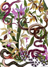 Load image into Gallery viewer, Snake Orchid Tea Towel
