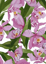 Load image into Gallery viewer, Vanda Miss Joachim Tea Towel
