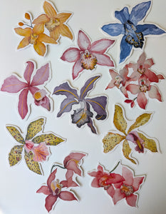 Orchid Notecard Set