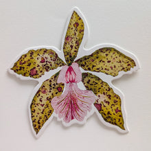 Load image into Gallery viewer, Orchid Notecard Set
