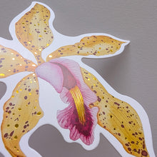 Load image into Gallery viewer, Orchid Notecard Set
