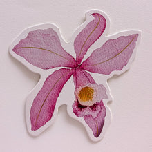 Load image into Gallery viewer, Orchid Notecard Set
