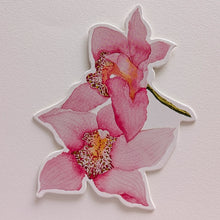 Load image into Gallery viewer, Orchid Notecard Set
