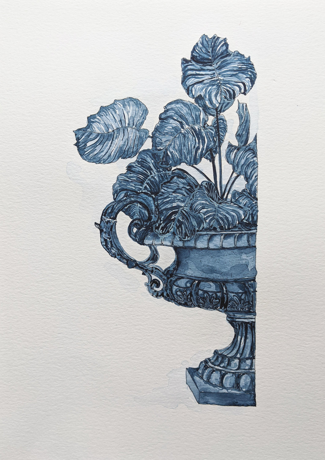 An Urn And A Plant